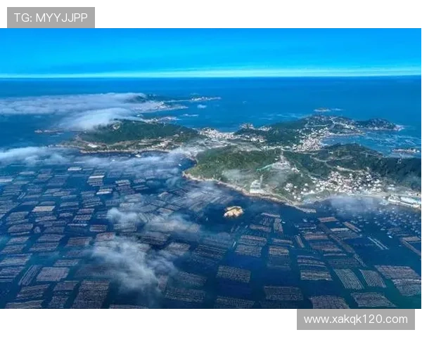 聚焦舟山企业家群体引领海洋产业高质量创新发展实践探索之路新篇